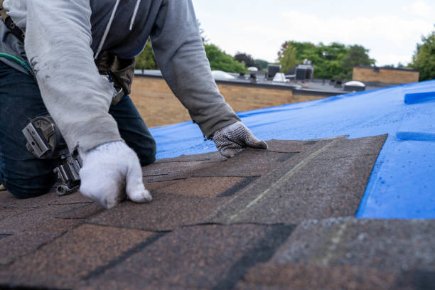 Best Residential Roofing Contractor  in Rapids, NY