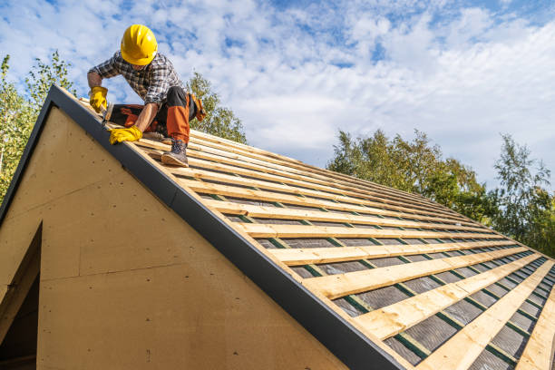 Best Local Roofing Companies  in Rapids, NY